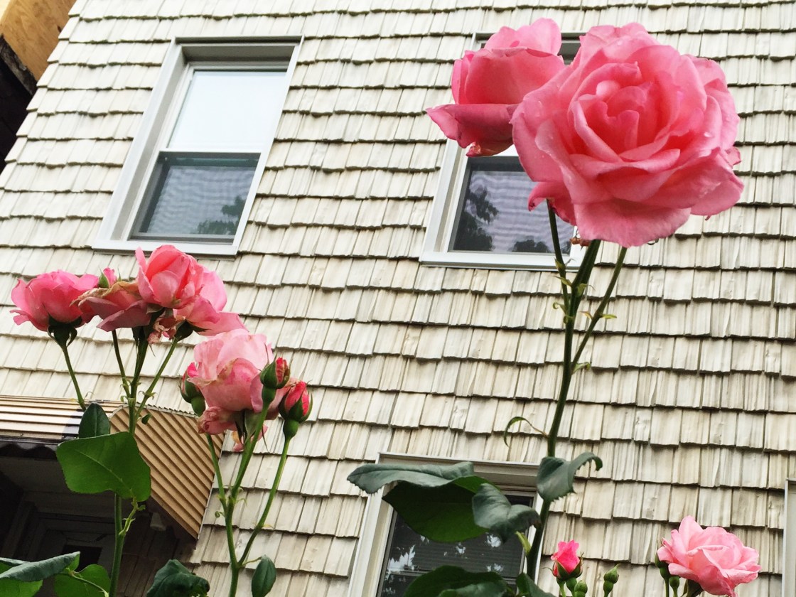 Processed with VSCOcam with s3 preset